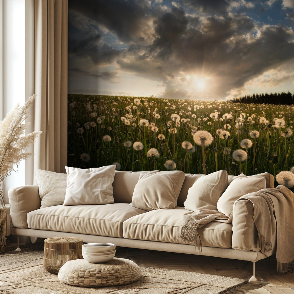 Hehkulamput | Valokuvatapetit