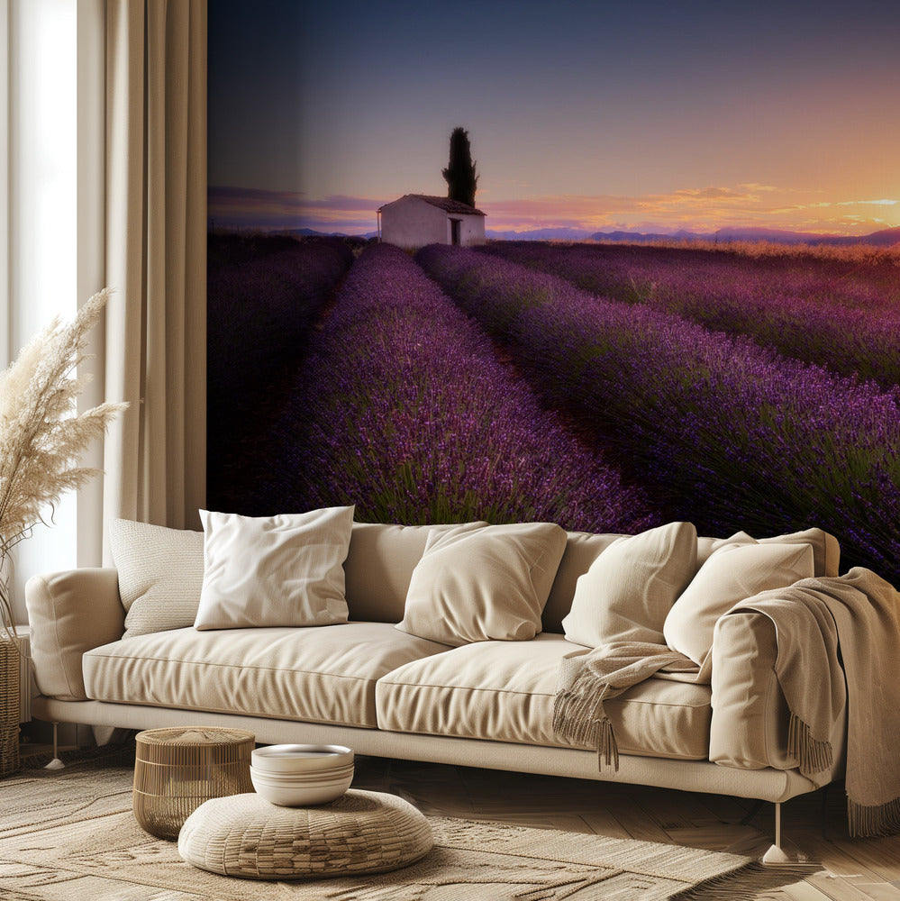Provence Lavender | Wallpaper