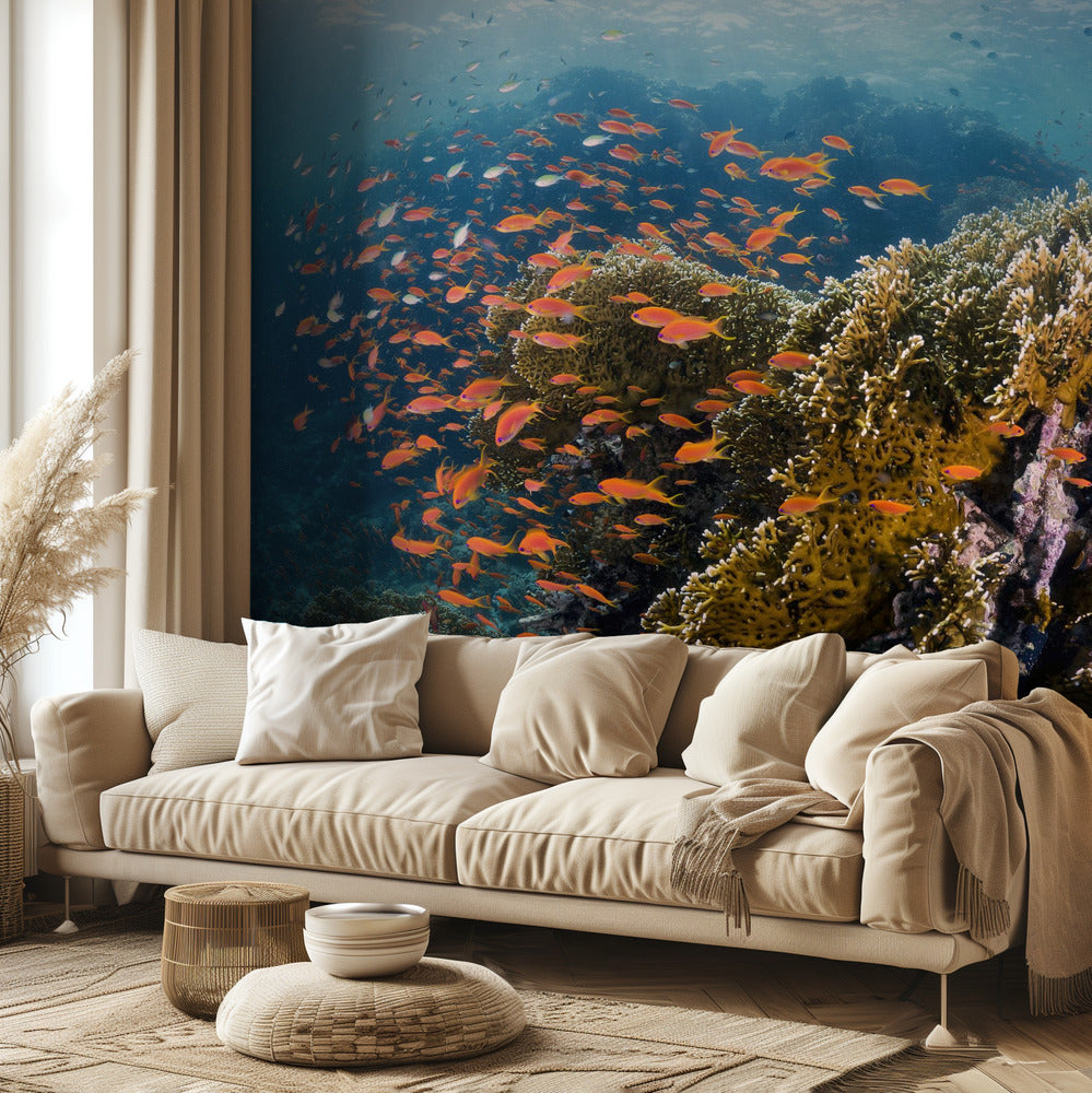 Revlandskap | Fototapet