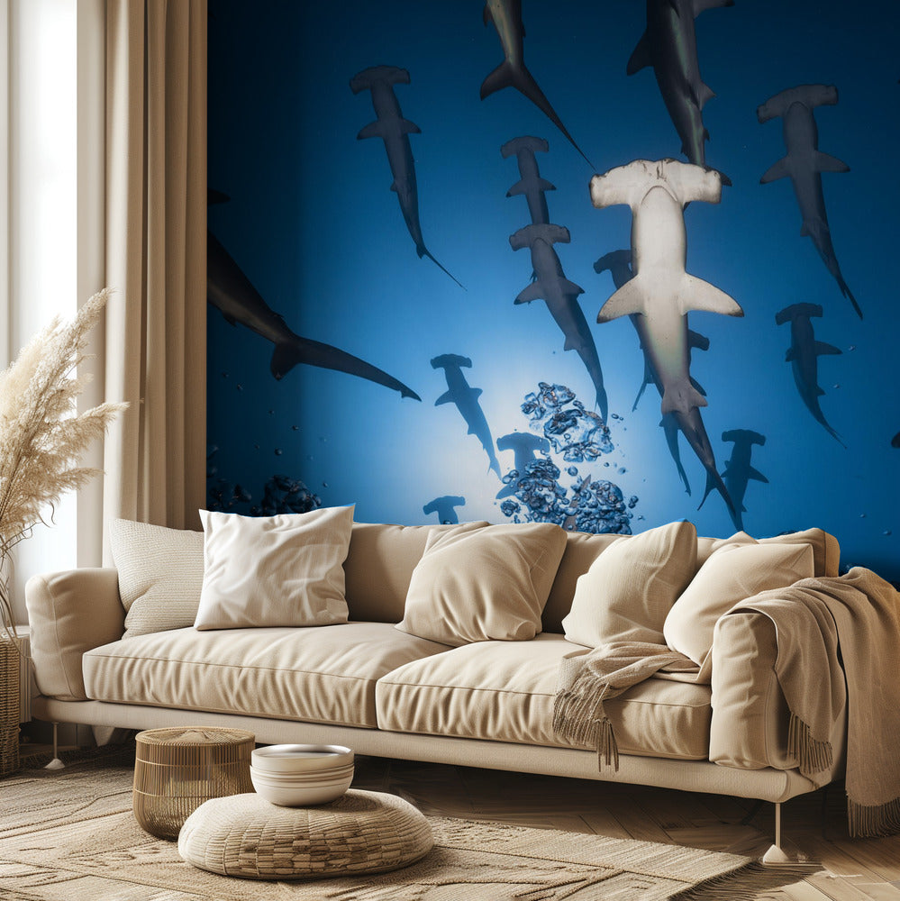 Tiburón martillo | Papel Pintado Fotográfico