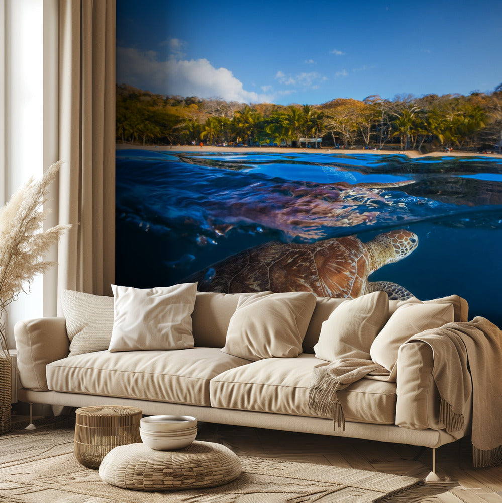 Tortuga Verde - Tortuga Marina | Papel Pintado Fotográfico