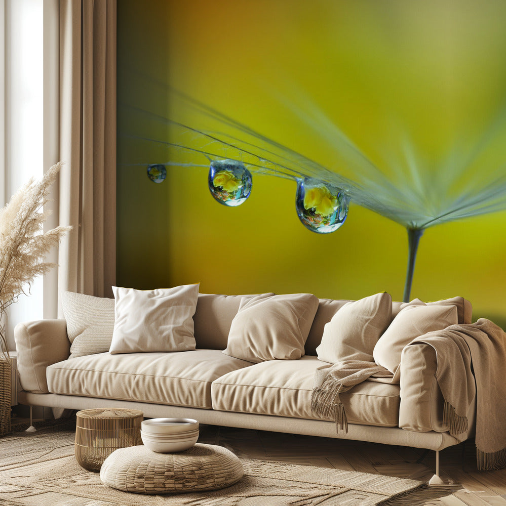 Rayo de sol...III | Papel Pintado Fotográfico