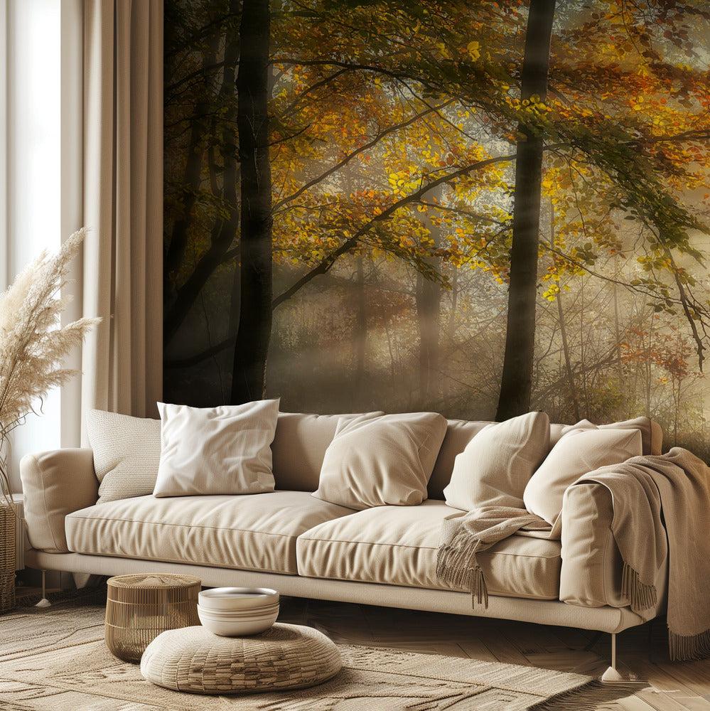 Las luces del bosque | Papel Pintado Fotográfico