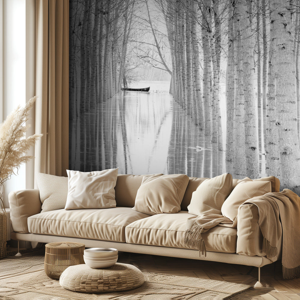 Libre circulación | Papel Pintado Fotográfico