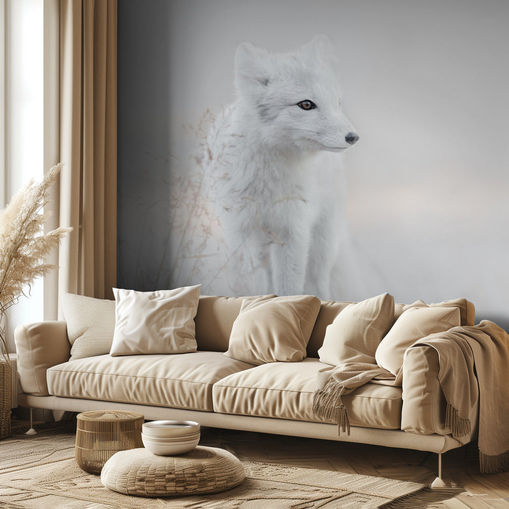 Looking around | Wallpaper