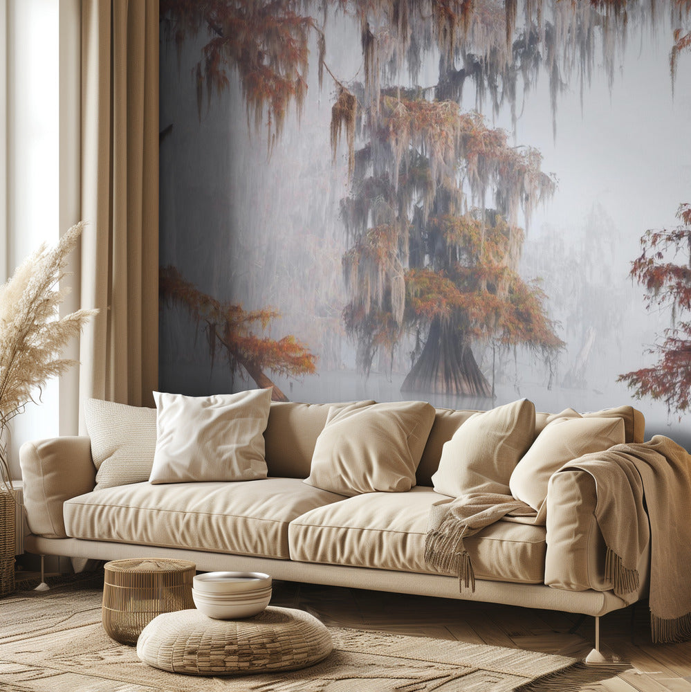 Tajemnicze bagna | Fototapeta