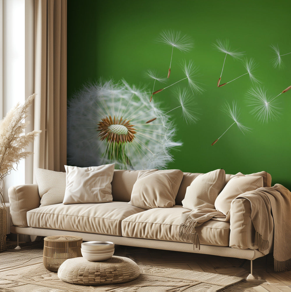 Diente de león soplando | Papel Pintado Fotográfico