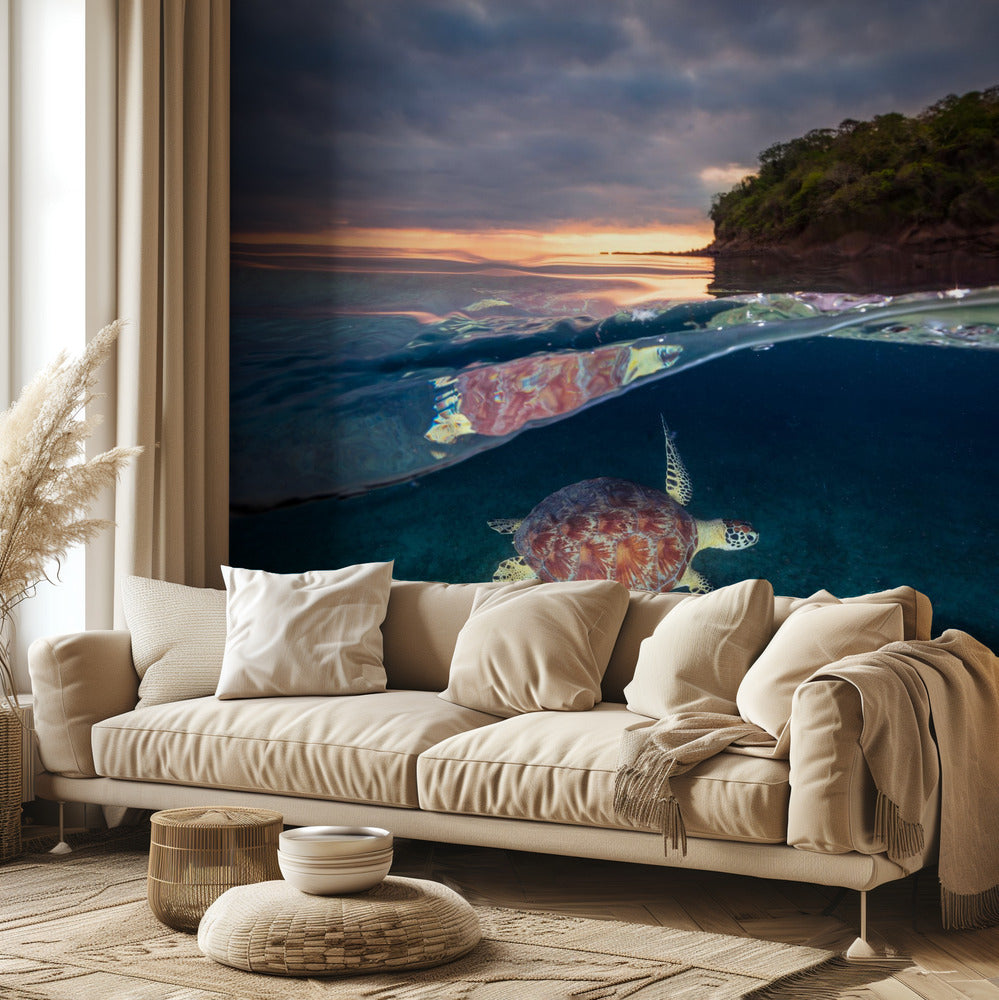 Tortuga verde con puesta de sol | Papel Pintado Fotográfico