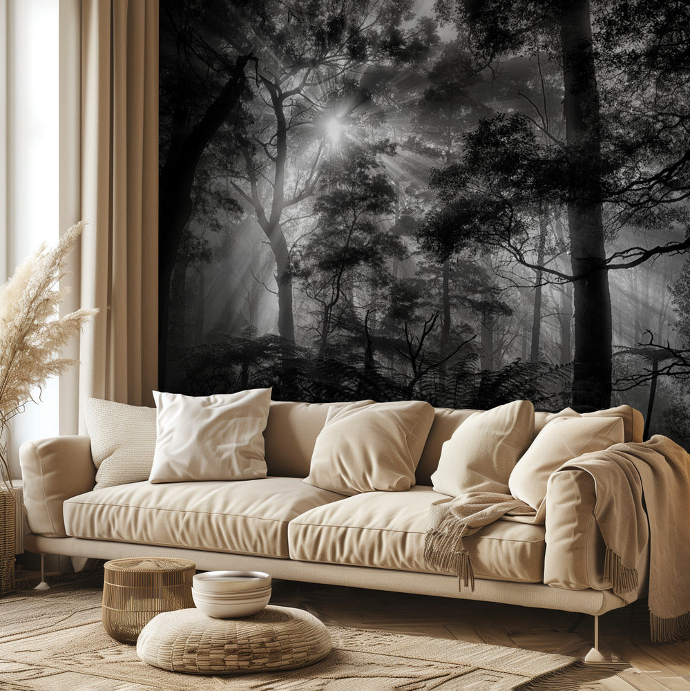 Forêt primaire | Papier Peint Photo