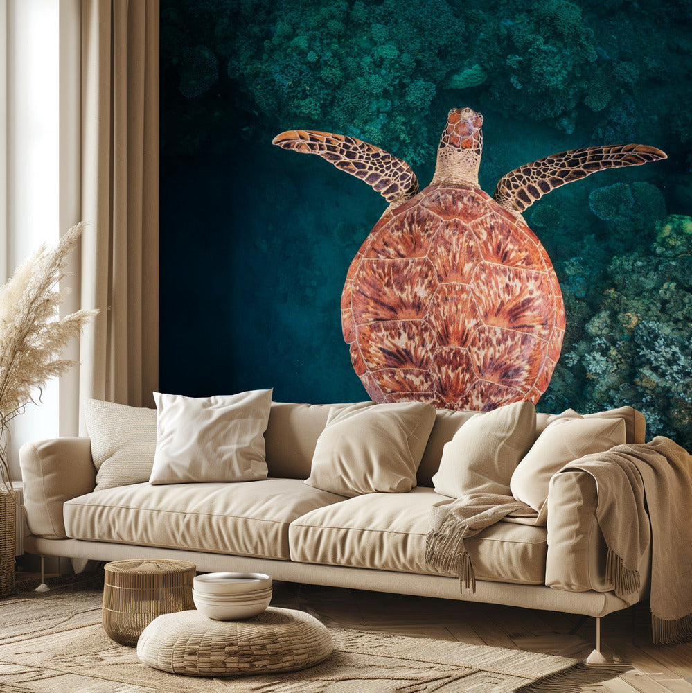 Volando sobre el arrecife | Papel Pintado Fotográfico