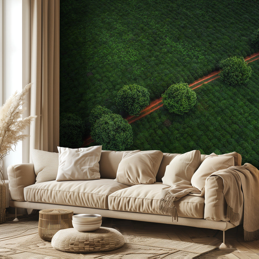 Grønne Perler | Fototapeter