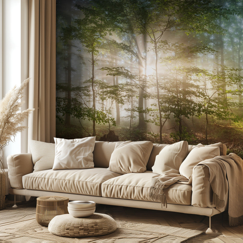 Morgensonne | Fototapeten