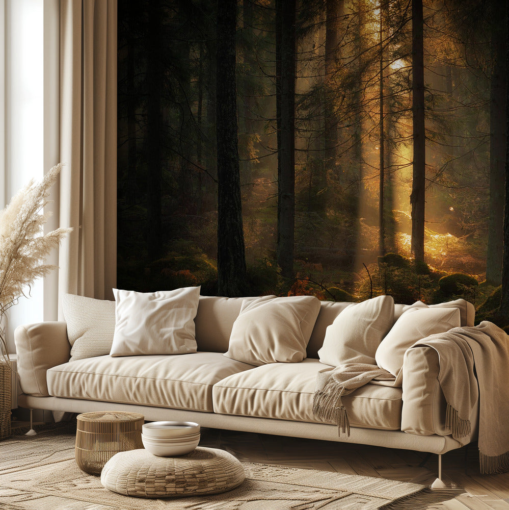 Lyset i skoven | Fototapeter