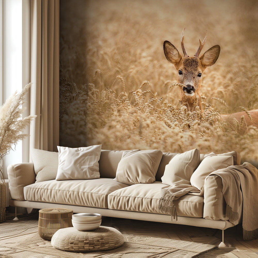 Ciervos en el campo | Papel Pintado Fotográfico