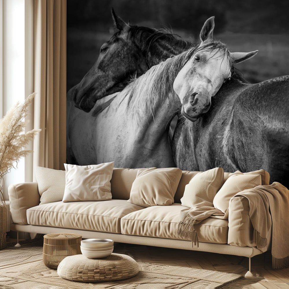 Lämmin sade | Valokuvatapetit