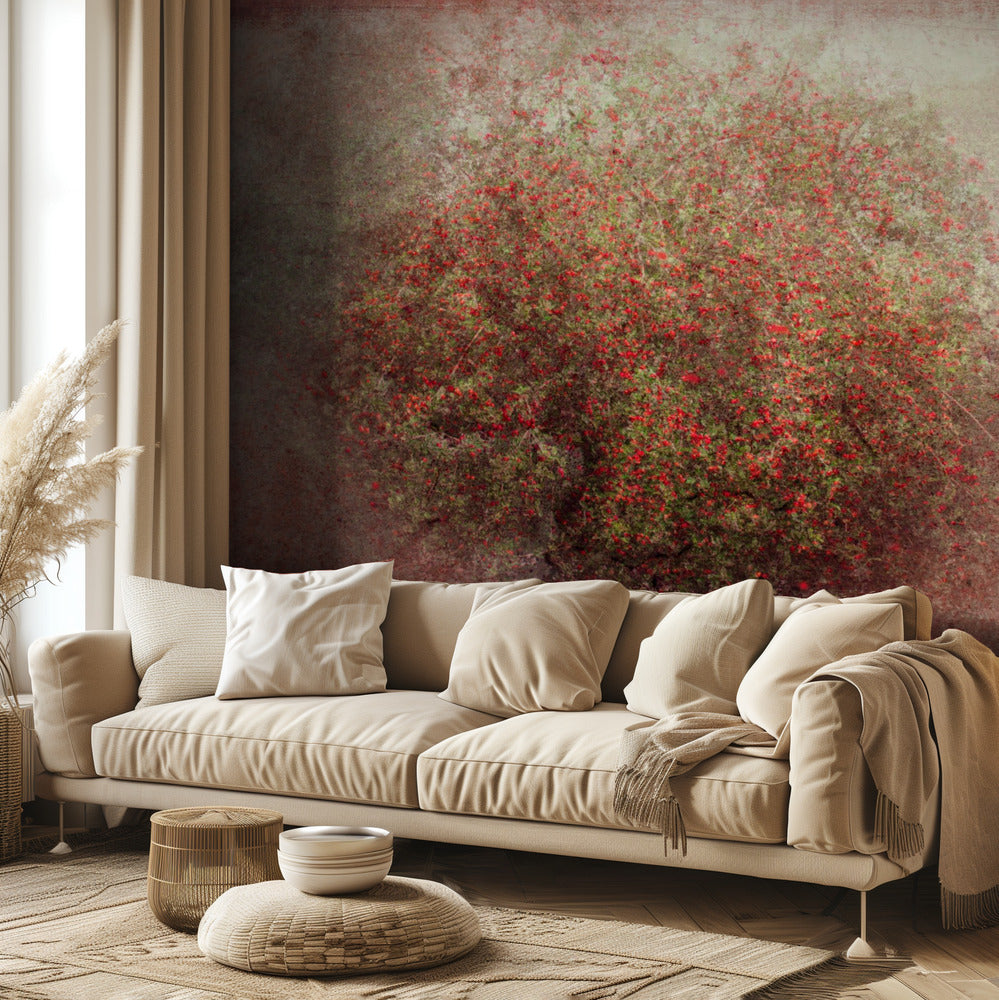 árbol de manzana Papel Pintado Fotográfico