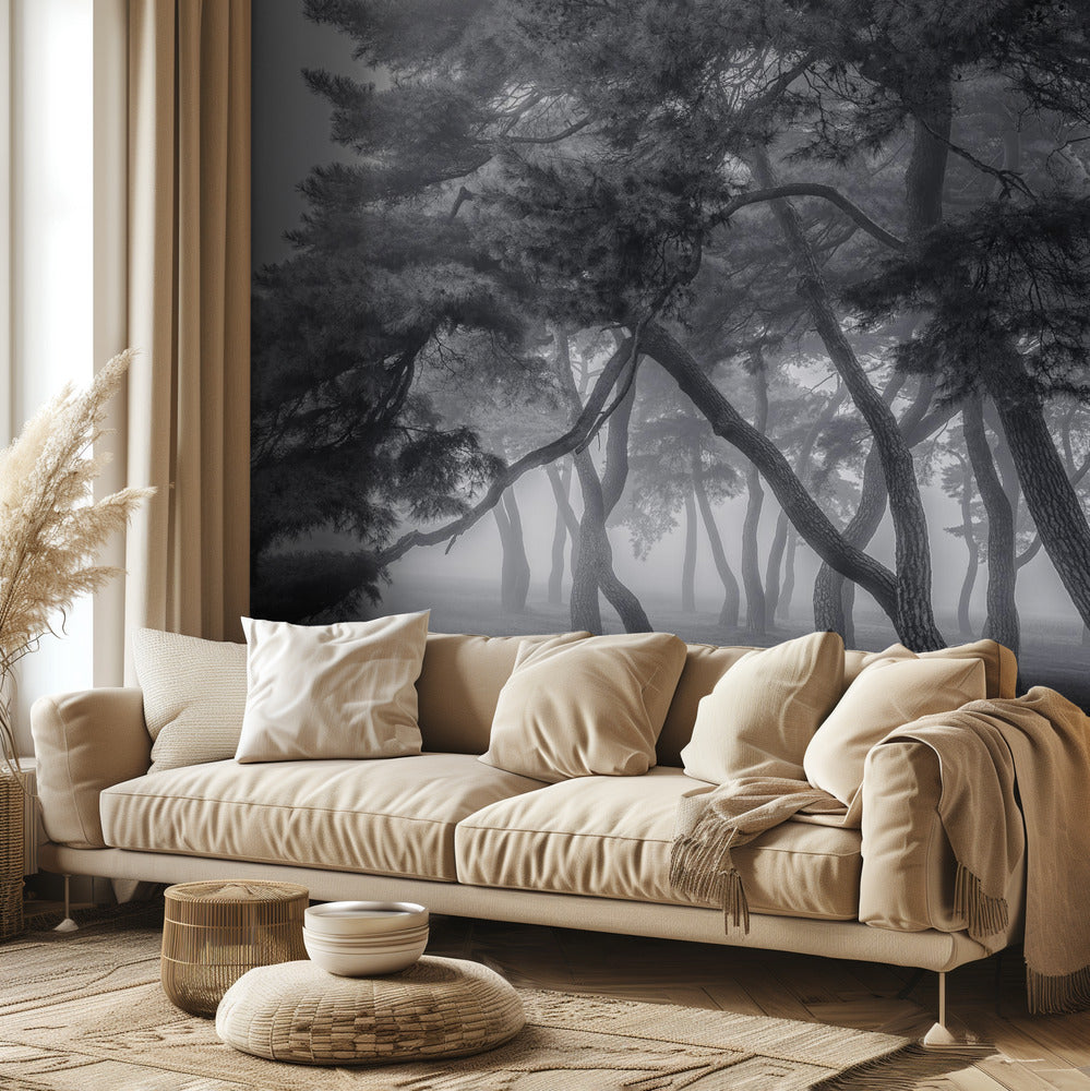 Toujours | Papier Peint Photo