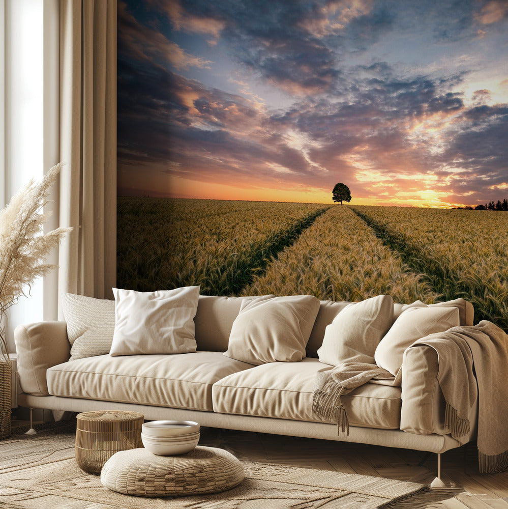 Unelmien kenttä | Valokuvatapetit