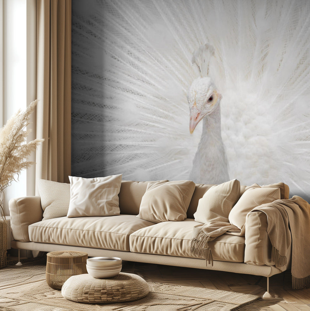 Prächtiger Weißer | Fototapeten