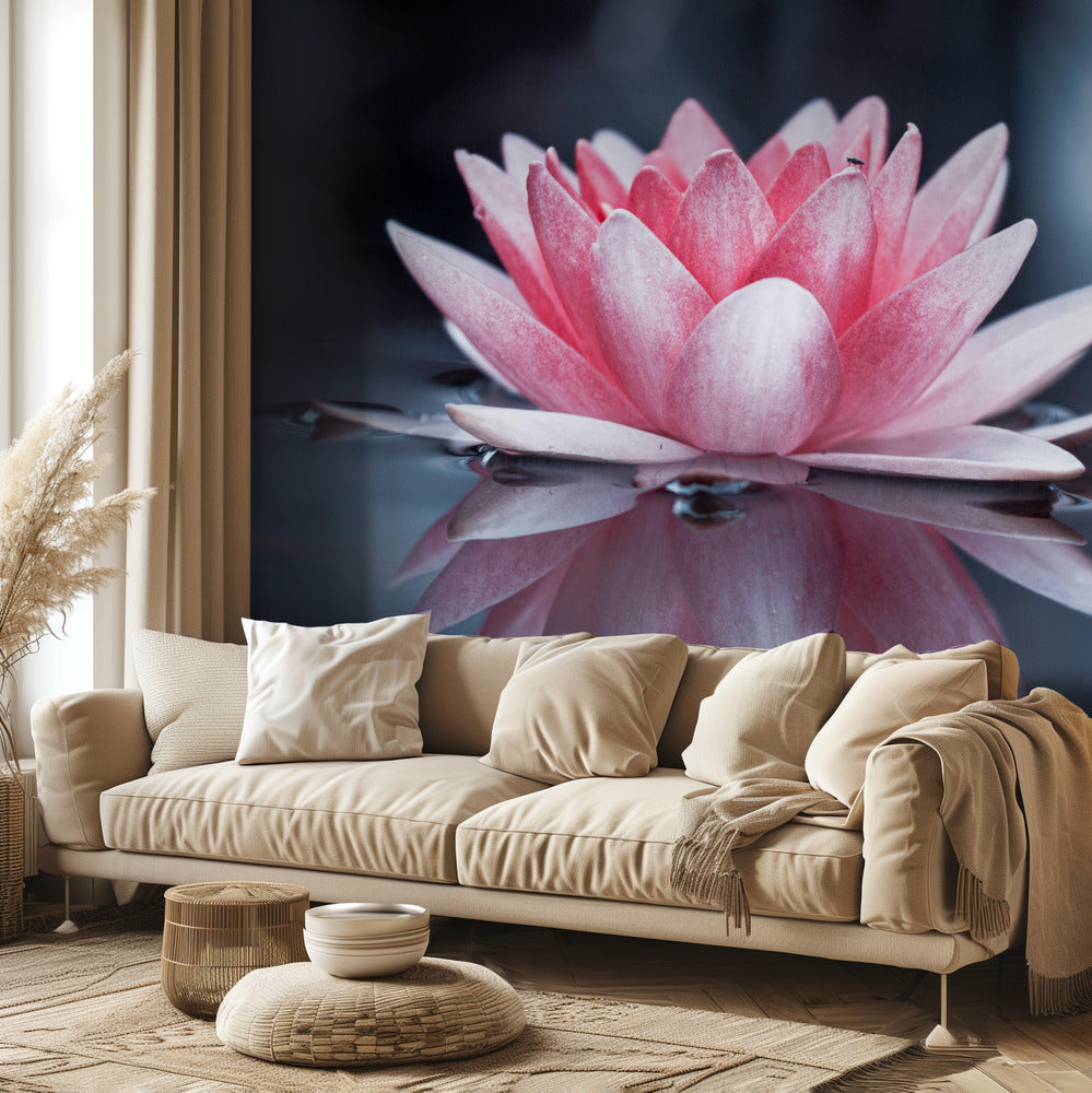 Padmasana | Valokuvatapetit