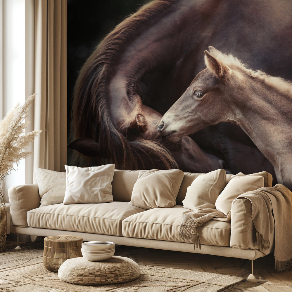 Bond | Valokuvatapetit