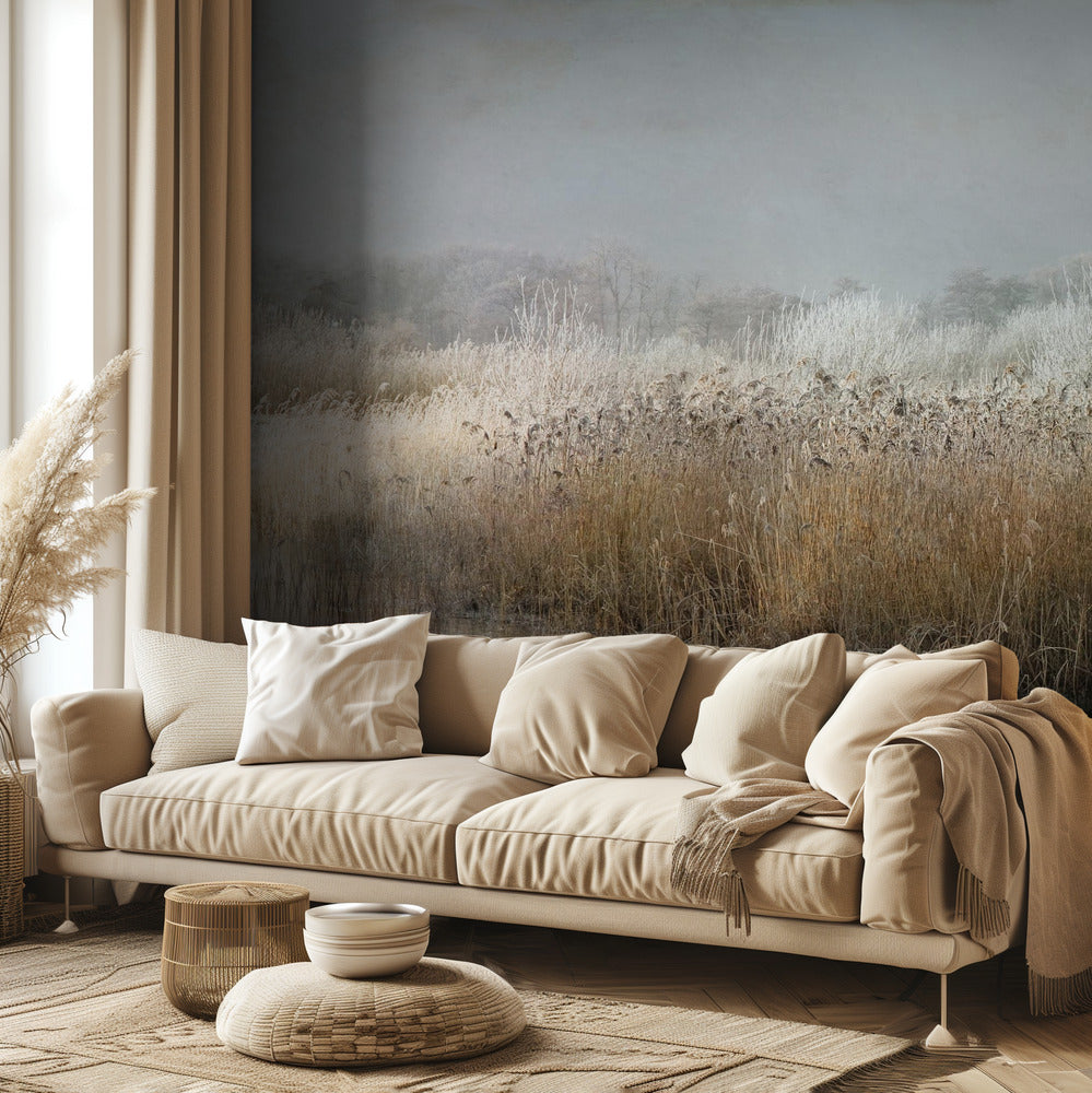 Talviaamu | Valokuvatapetit