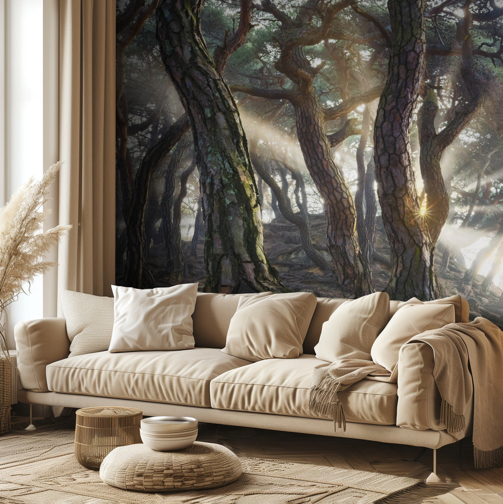 Sacred Pine Trees | Wallpaper