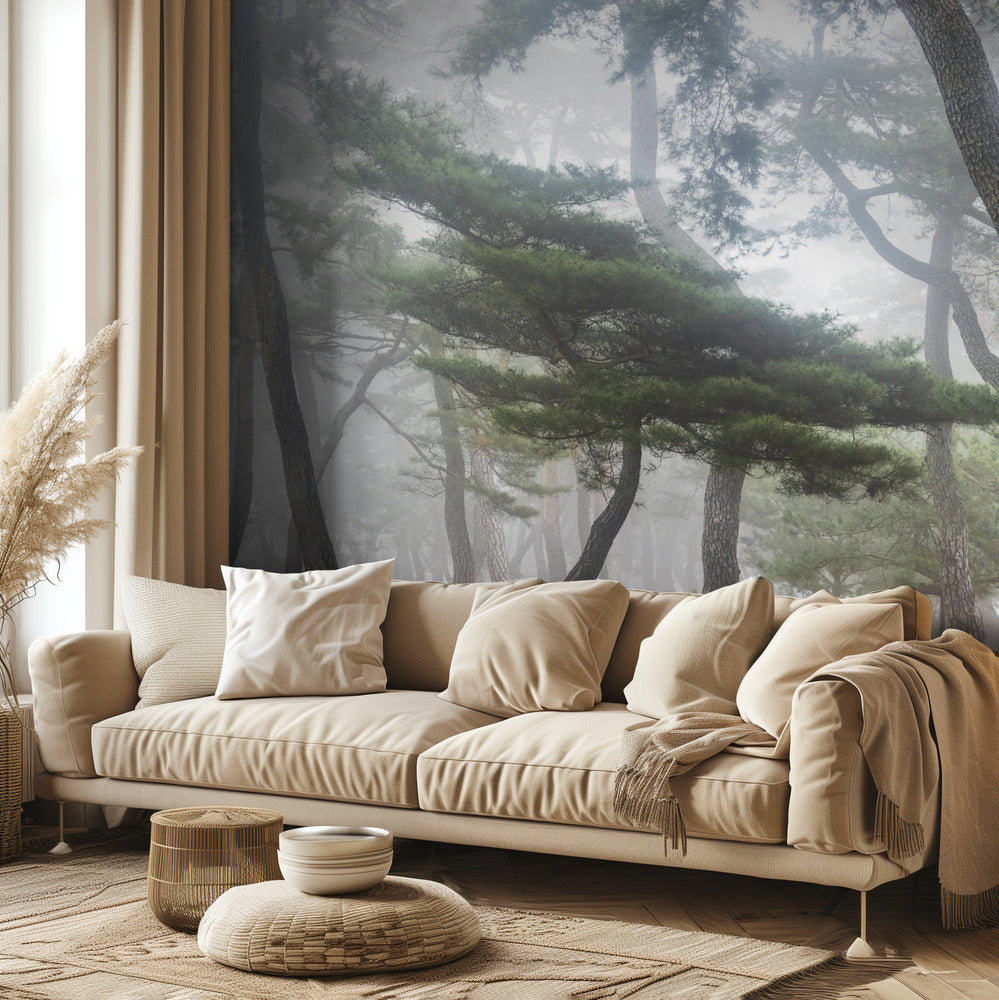 In The Misty Pine Forest | Wallpaper