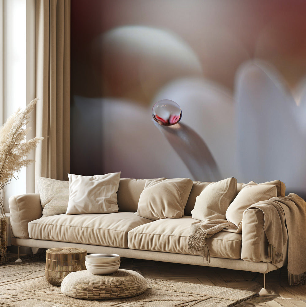 Enigma.. | Papel Pintado Fotográfico