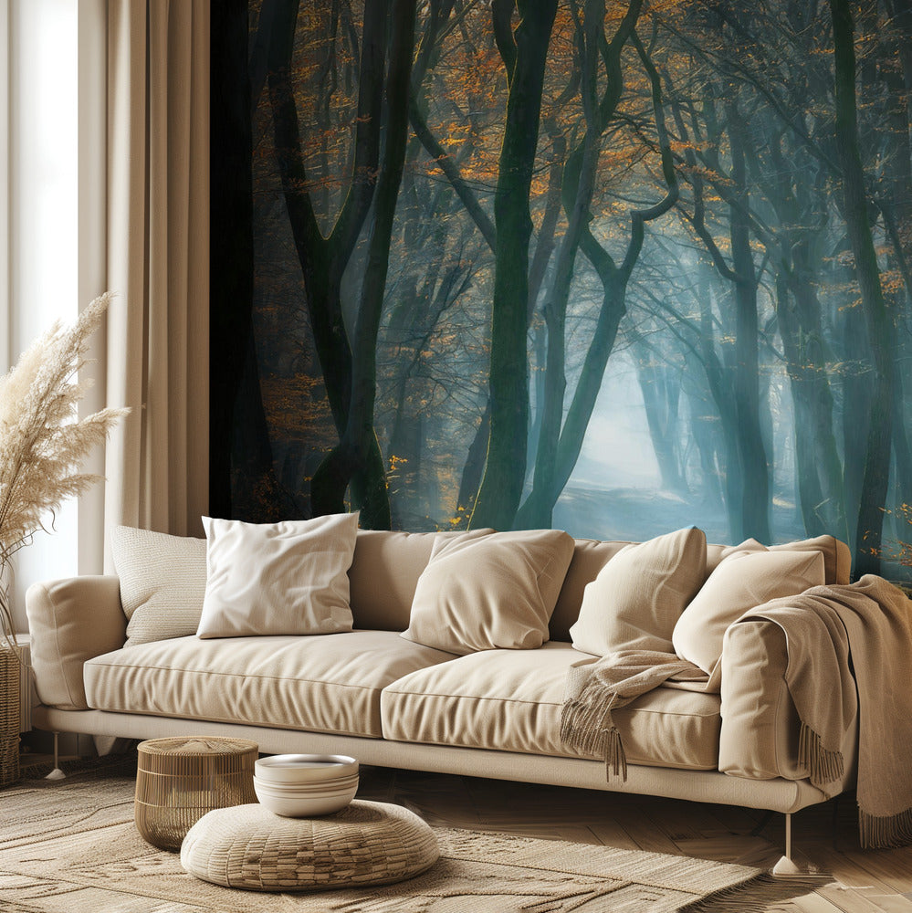 Luz fría | Papel Pintado Fotográfico