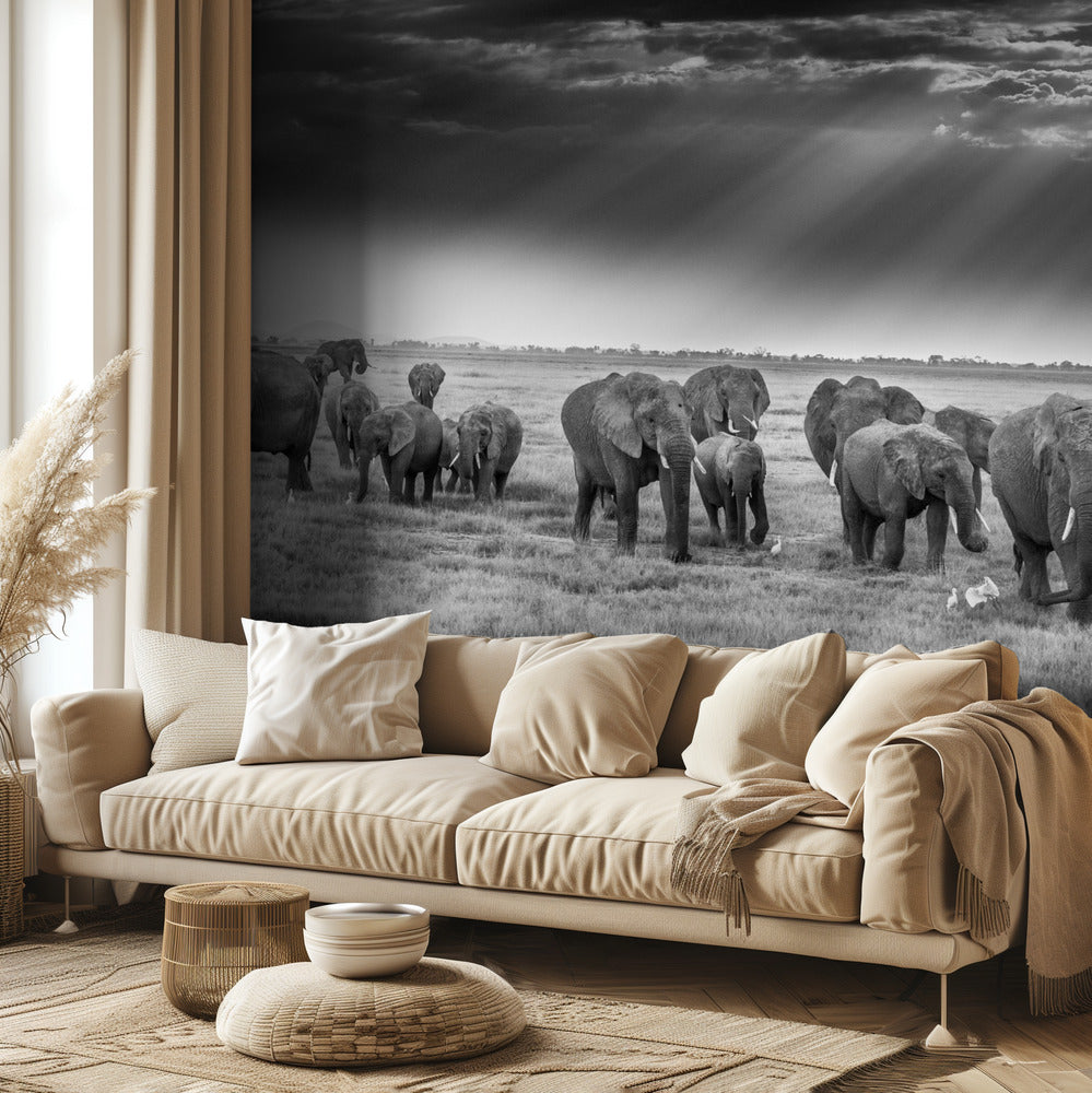 Aamiainen pachydermien kanssa | Valokuvatapetit