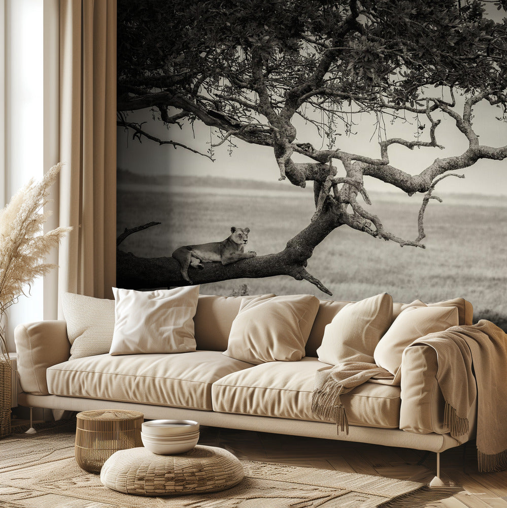 Kuningatar | Valokuvatapetit