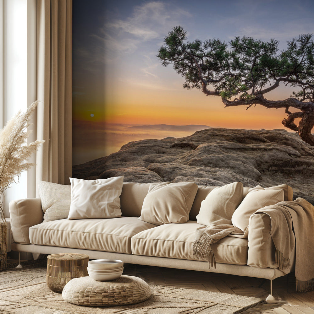 Vanha mänty | Valokuvatapetit