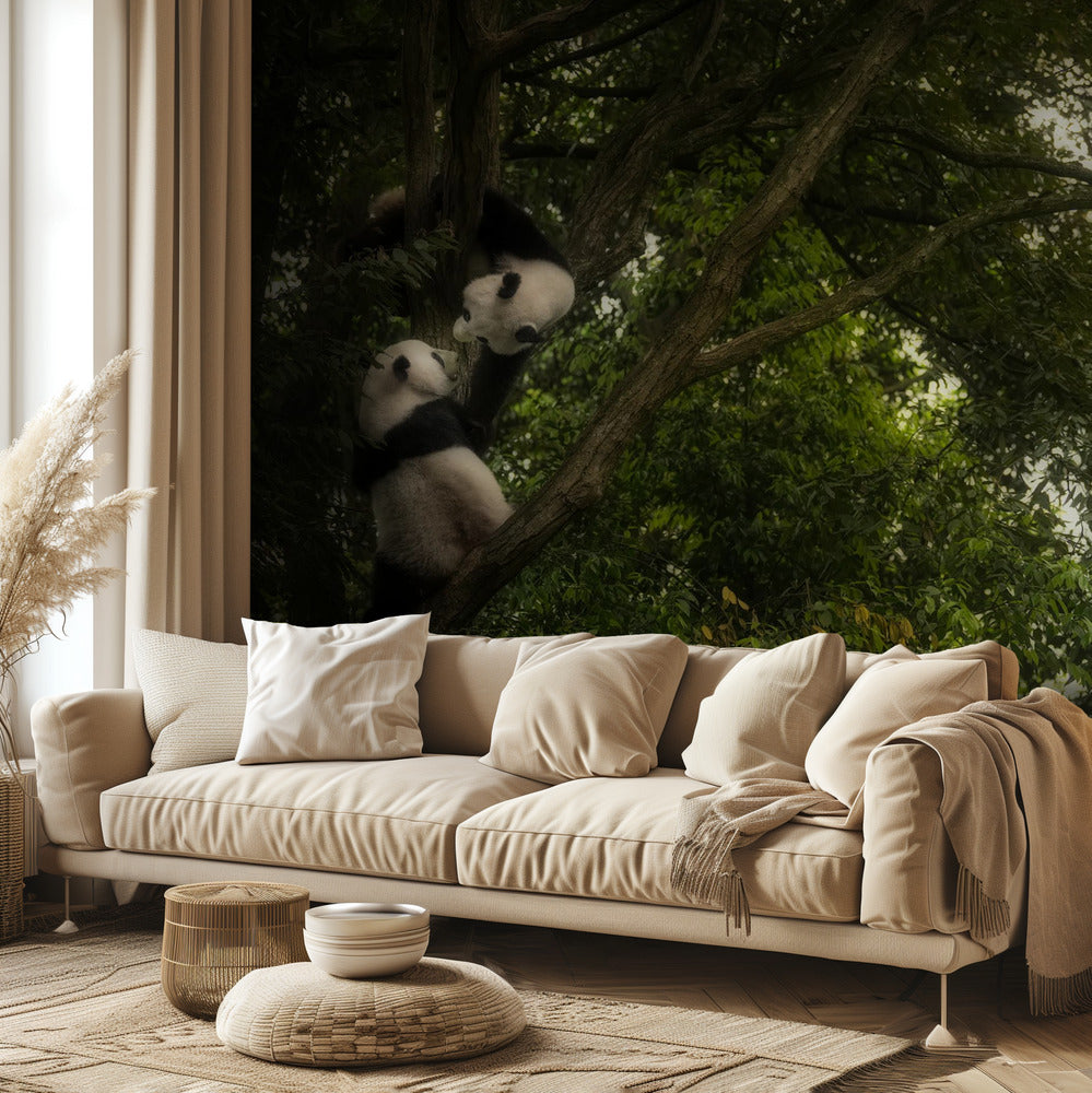 Panda | Papel Pintado Fotográfico