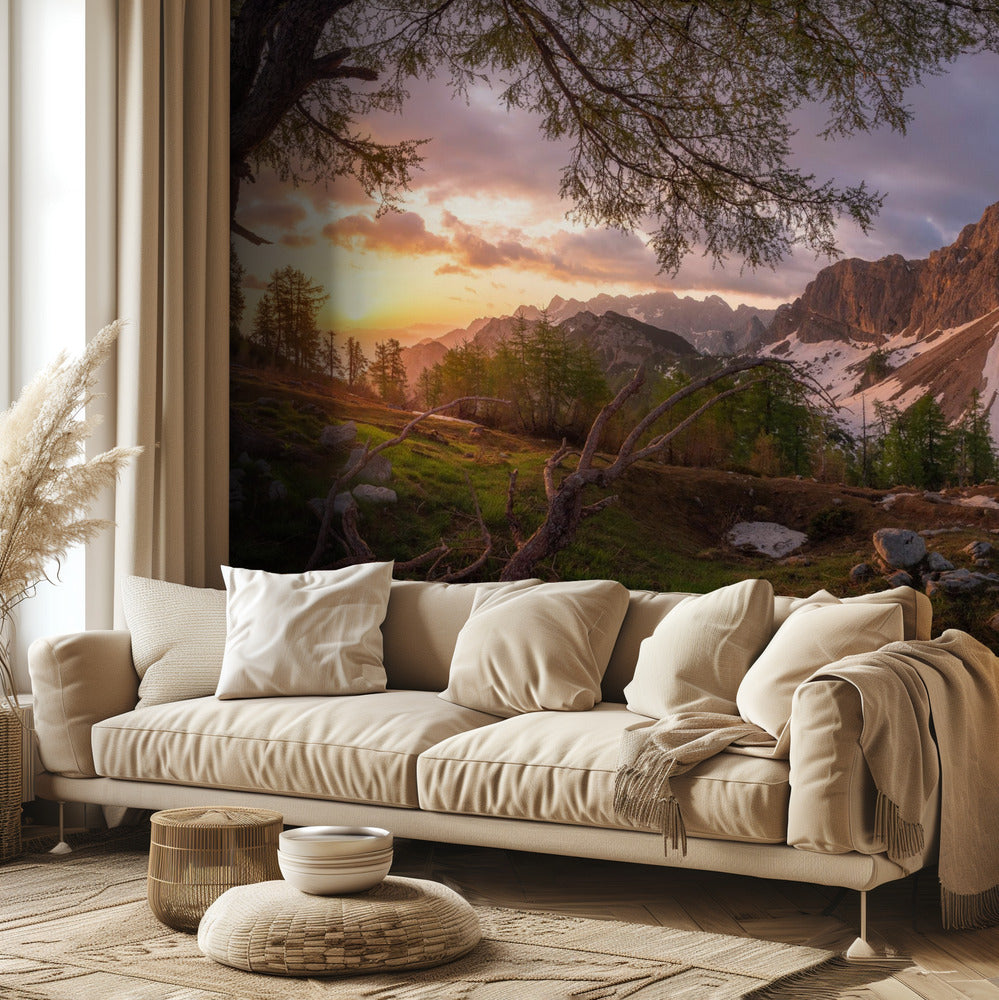 Maaginen aamu | Valokuvatapetit