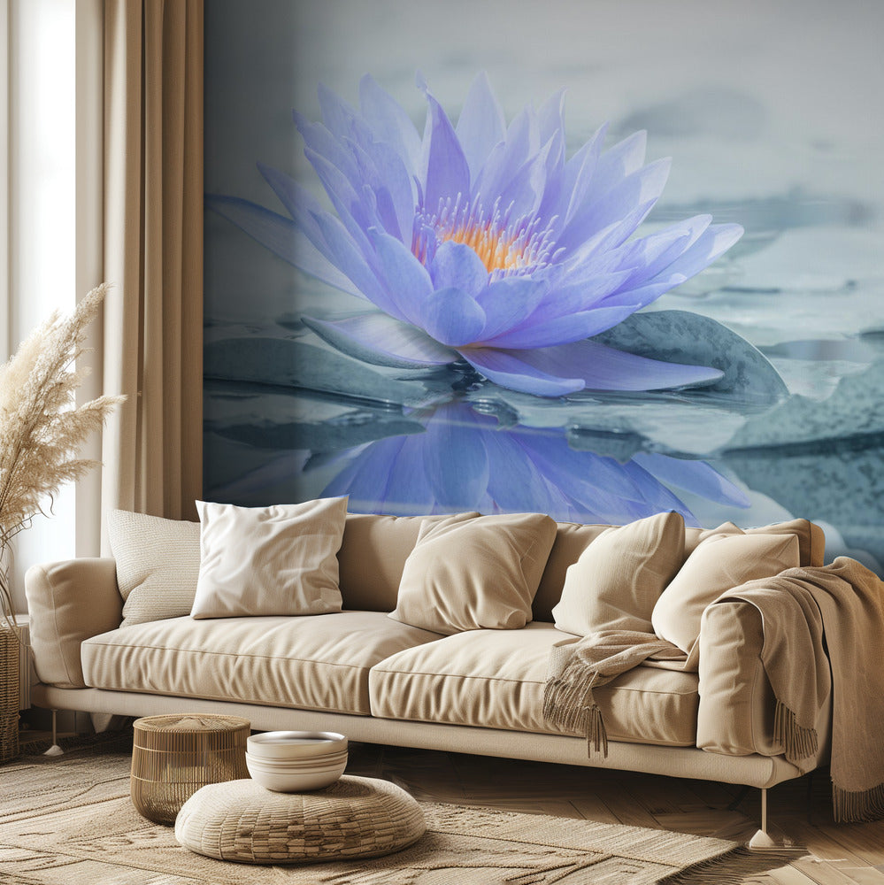 Heijastus | Valokuvatapetit