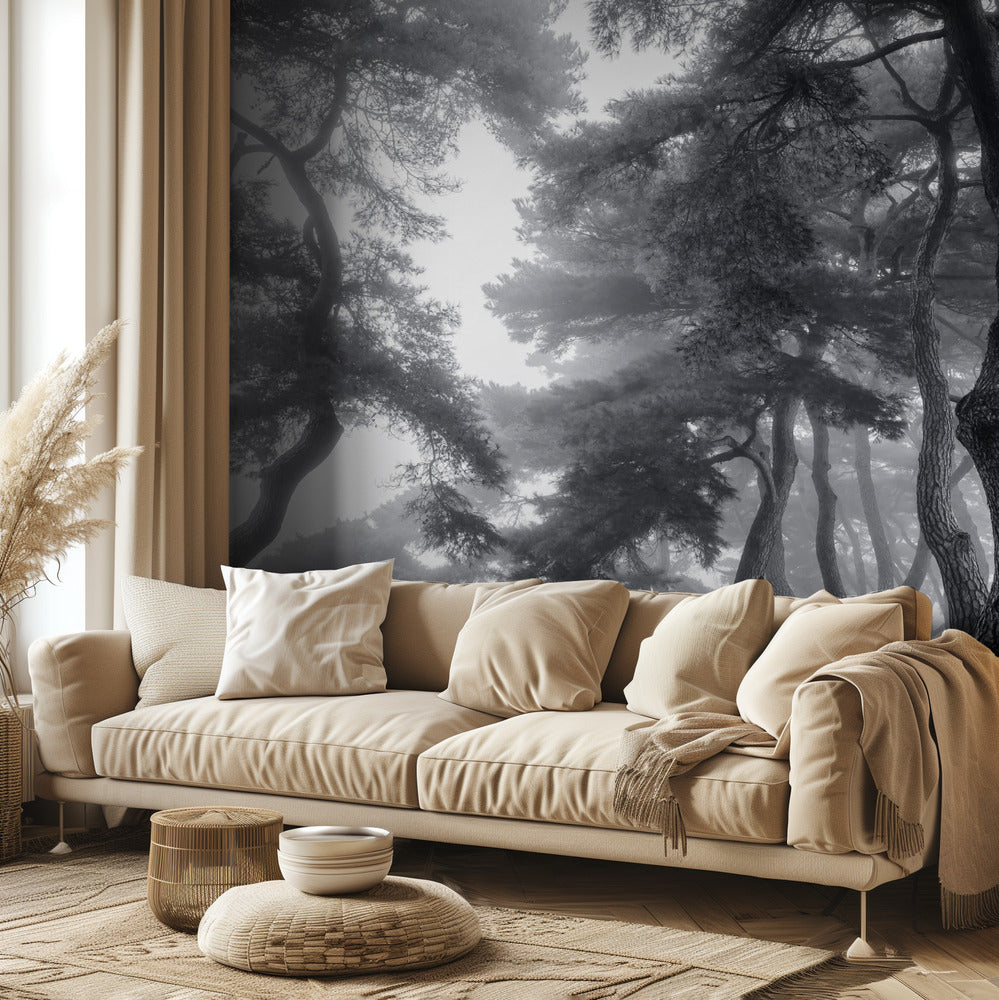 Kestää sata vuotta | Valokuvatapetit