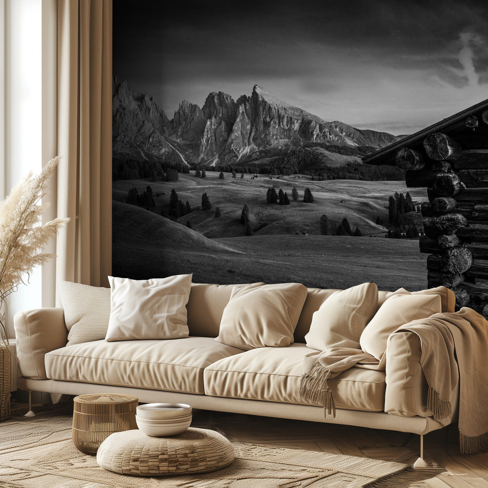 Nimetön | Valokuvatapetit