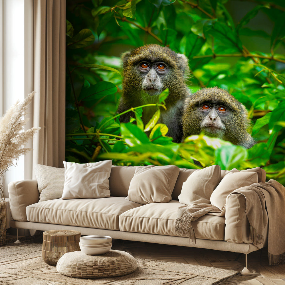 Sininen apina | Valokuvatapetit