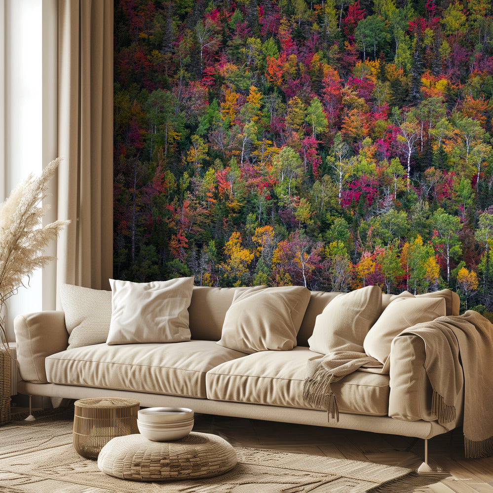 Väripaletti | Valokuvatapetit