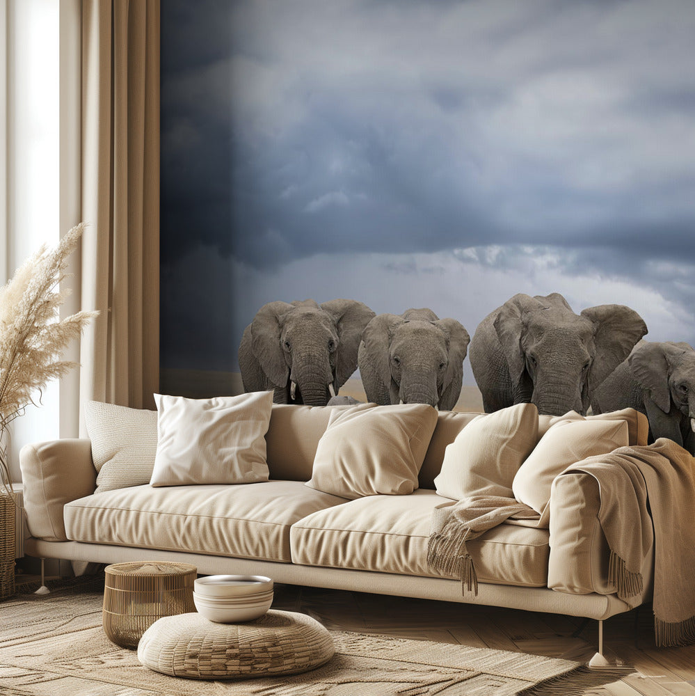 Norsujen kävelyretki | Valokuvatapetit