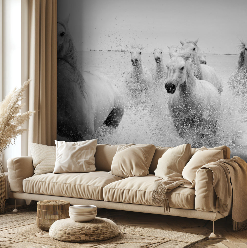 Nadchodzimy | Fototapeta