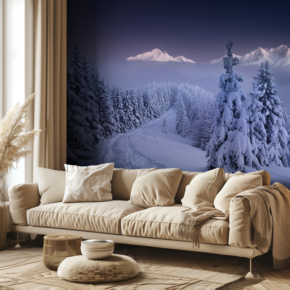 Talvella | Valokuvatapetit