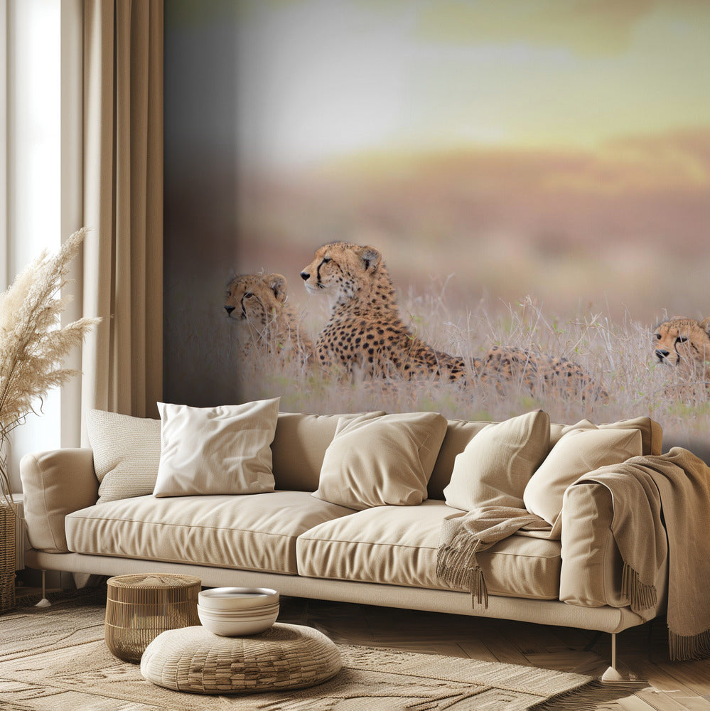 Gepardiperhe | Valokuvatapetit