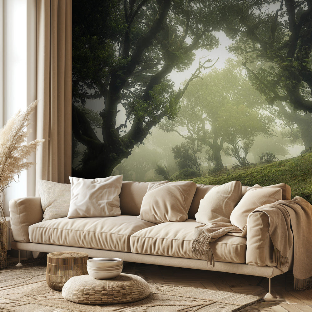 Lumottu metsä | Valokuvatapetit