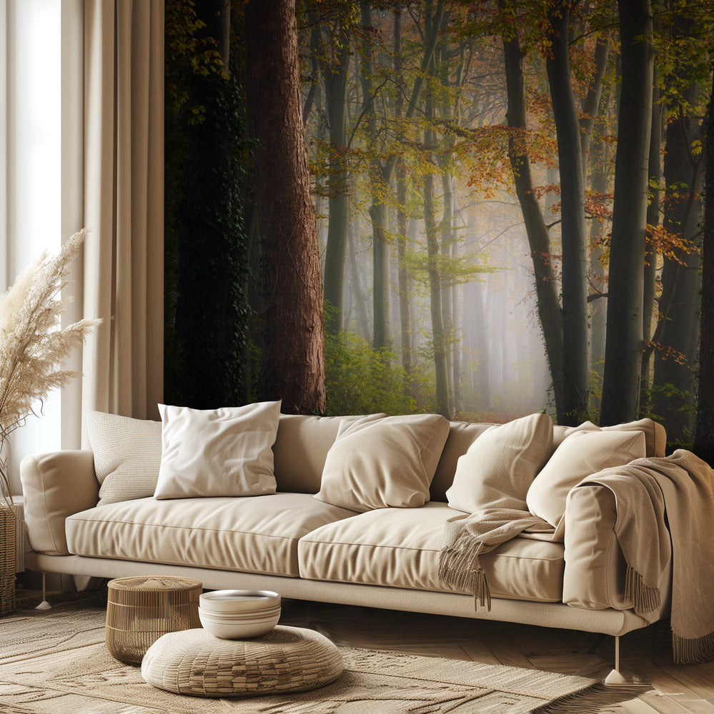 Syksyn värikäs metsä | Valokuvatapetit