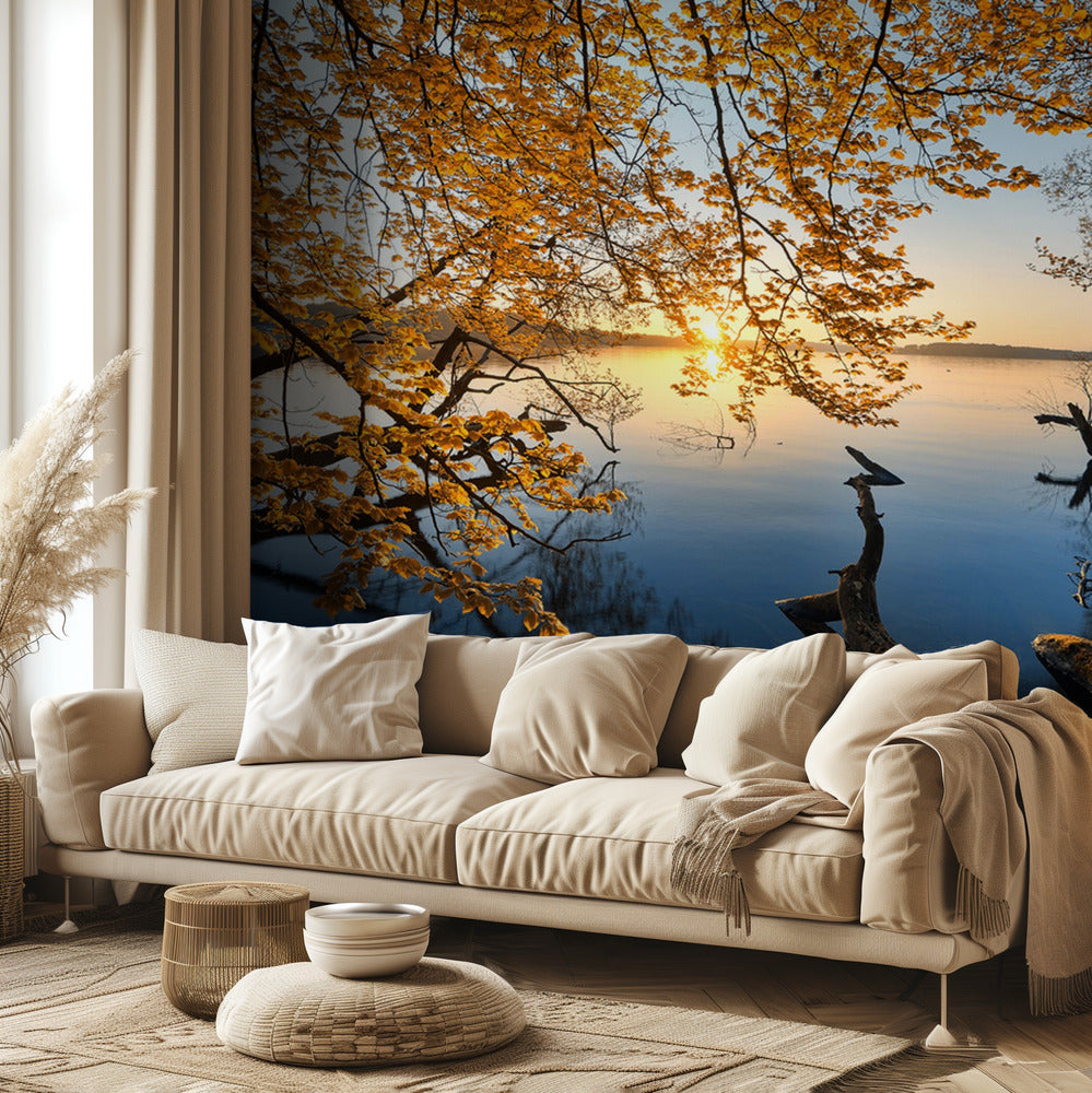 Syksyinen aamu | Valokuvatapetit