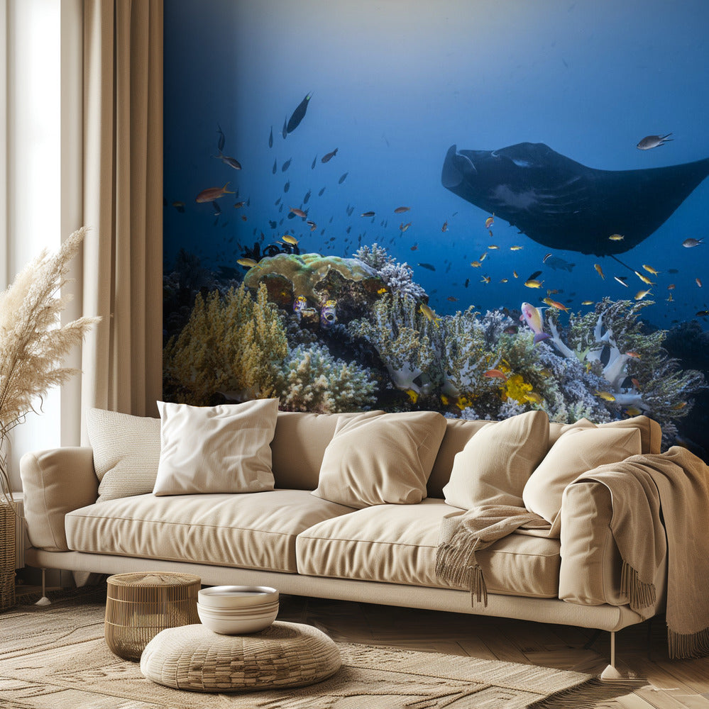 Manta-riutta riutalla | Valokuvatapetit