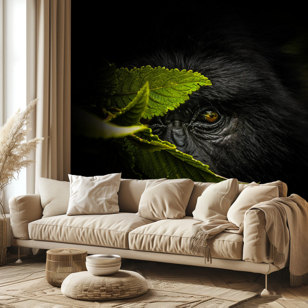 Salaisuuksien pitäminen | Valokuvatapetit