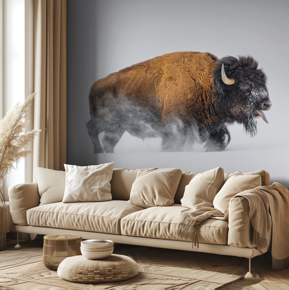 Bisonte en la nieve | Papel Pintado Fotográfico